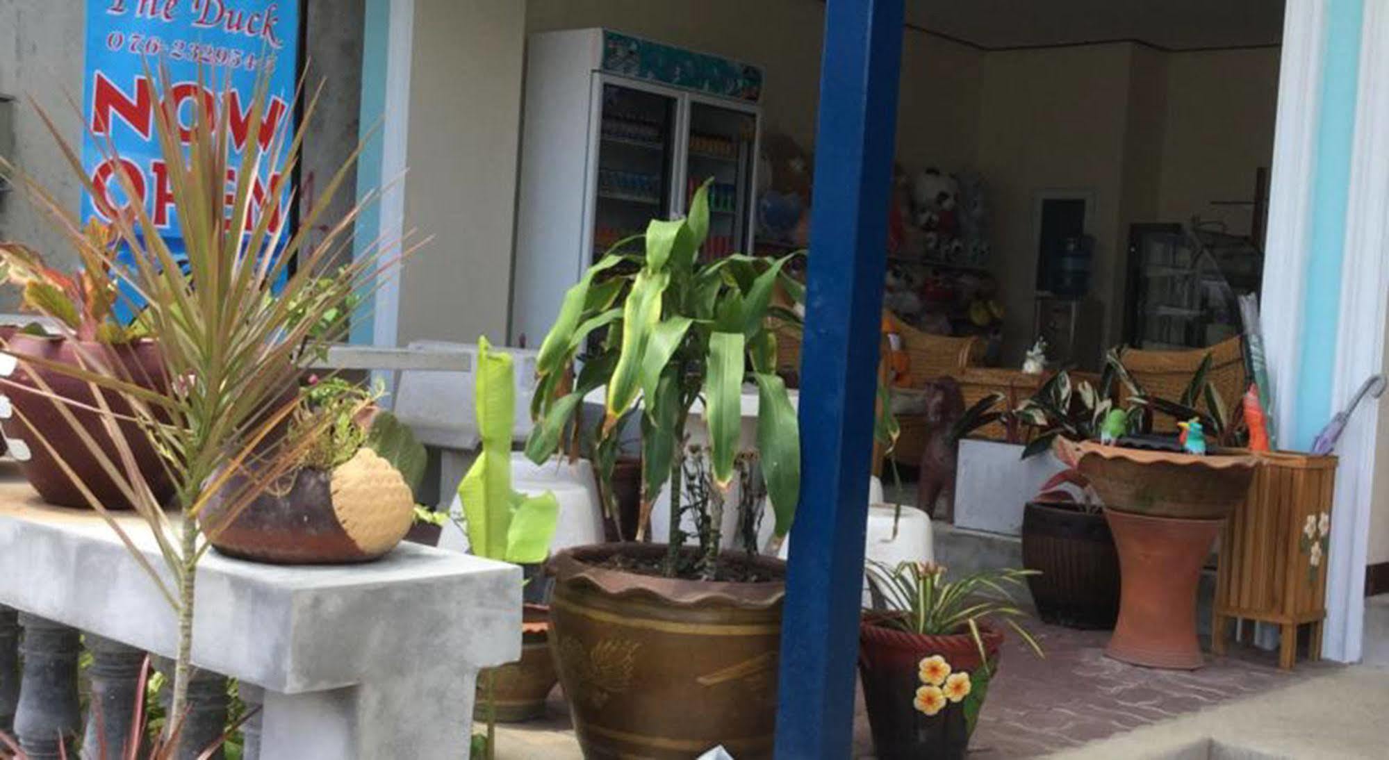 The Duck Hotel Phuket Bagian luar foto